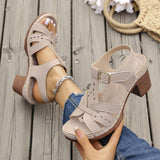 Sandals Women 2025 Summer New Solid Color Fish Mouth Thick Heel With High-Heeled Sandals HZ0115