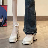 High-Heeled Women 2025 Spring And Autumn New French Retro Mary Jane Shoes Small Leather Shoes Thick Heel Shallow Single Shoes HZ0115