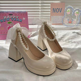 Thick Bottom French Mary Jane Shoes Women High Heel Niche Design Temperament High-End Feel Lolita Coarse Leather Shoes Women Shoes HZ0115