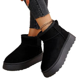 Winter New Short-Braced Snow Boots Ladies Shoes Thick Soles And Thicken To Keep Warm And Anti-Slip Northeast Cotton Boots HZ0115