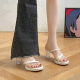 Fashion Transparent High-Heeled Women 2025 Summer New Crystal And High-End Women's Shoes Large Thick Heel Cold Slippers HZ0115