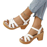 New Sandals Women 2025 Summer High Heels Leaky Toe Coarse-Character Buckle Tape Large-Size Sandals HZ0115
