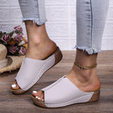 2025 Spring And Summer New Cool Drag Women Wear Women's Shoes Comfortable Slope And Thick-Bottomed Slippers Women HZ0115