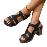 High-Heeled Sandals Women's Summer 2025 New Coarse Heel Comfortable One-Legged Fish Mouth Women's Wearing Cool Slippers HZ0115