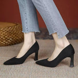 High-Heeled Women 2025 New Summer Black Fine Tip Pointy Light Mouth Velvet Career Hitchhed Temperament Single-Shoe Women HZ0115