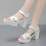 Painted Leather High Heel Waterproof Sandals Women Fashion Crocodile Pattern Walking Shoes Summer Coarse Heel Magic Sticky H Women's Shoes HZ0115