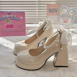 Thick Bottom French Mary Jane Shoes Women High Heel Niche Design Temperament High-End Feel Lolita Coarse Leather Shoes Women Shoes HZ0115