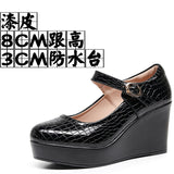 Painted Leather Stone Slope Heel Single Shoe Round Head Light Mouth Work Shoes Thick-Soled Waterproof Table Model Show High Heels Women HZ0115