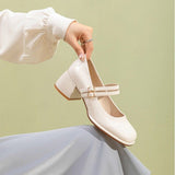 French High-Heeled Mary Treasure Shoes 2025 Spring And Summer New Retro Thick Heel JK Single Shoes Fairy Fashion High Heels HZ0115