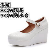 Painted Leather Stone Slope Heel Single Shoe Round Head Light Mouth Work Shoes Thick-Soled Waterproof Table Model Show High Heels Women HZ0115