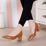 Women's Shoes 2025 New Autumn Korean Version Of The Pointed-Headed Single Shoes Women's Thick Heel Sexy High Heels Professional Shoes HZ0115